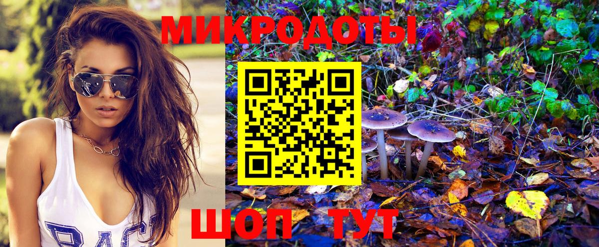 Псилоцибиновые грибы Cubensis Кашира